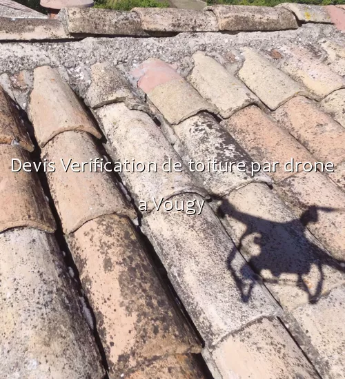 Devis Verification de toiture par drone a Vougy