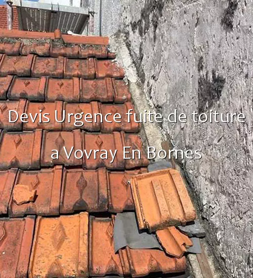 Devis Urgence fuite de toiture a Vovray En Bornes