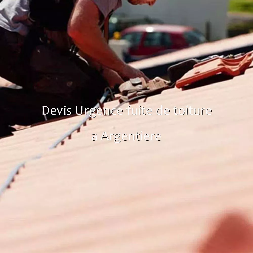 Devis Urgence fuite de toiture a Argentiere