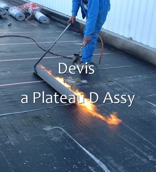 Devis  a Plateau D Assy