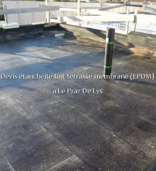 Devis étanchéité toit terrasse membrane (EPDM) a Le Praz De Lys