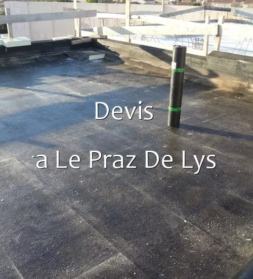 Devis  a Le Praz De Lys