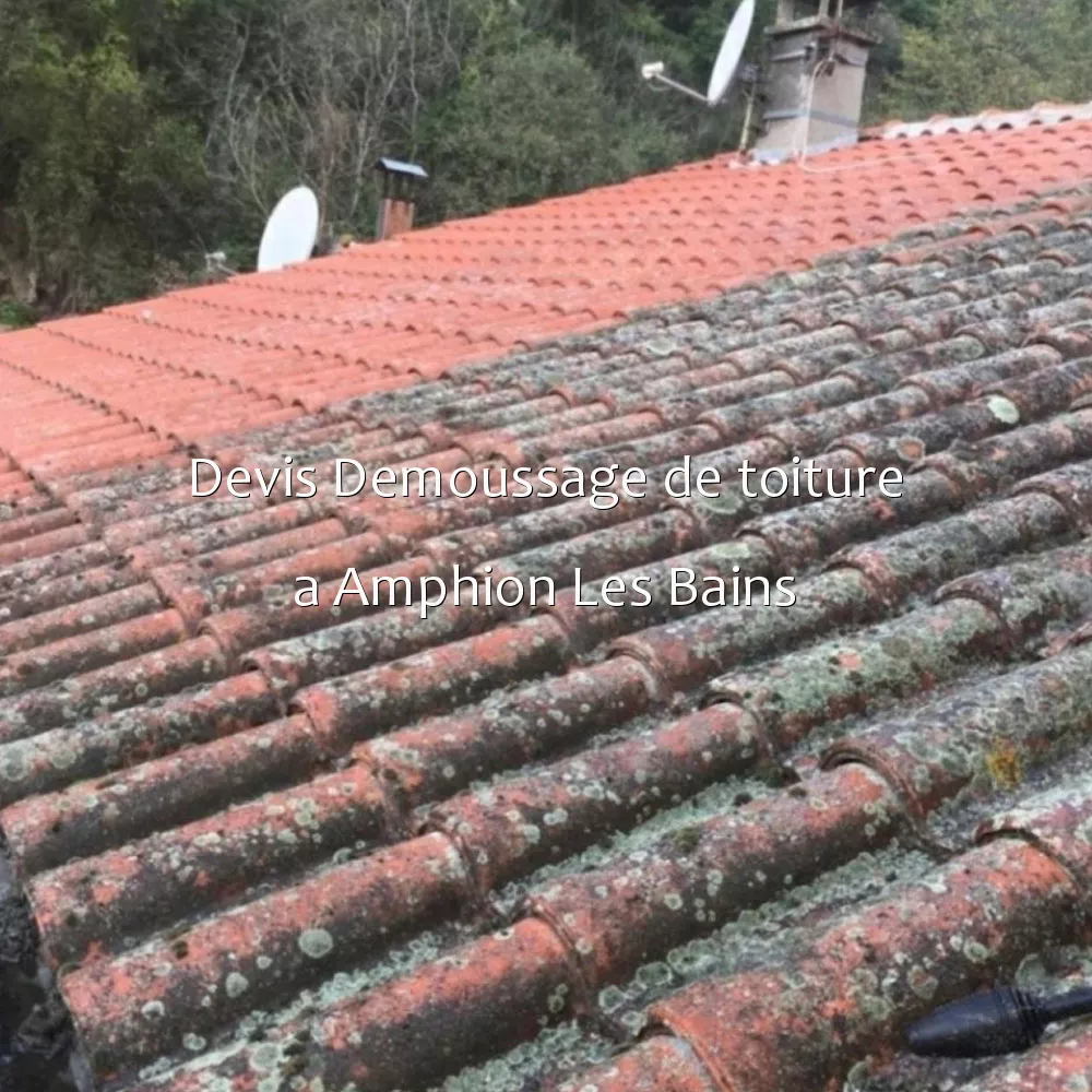 Devis Demoussage de toiture a Amphion Les Bains