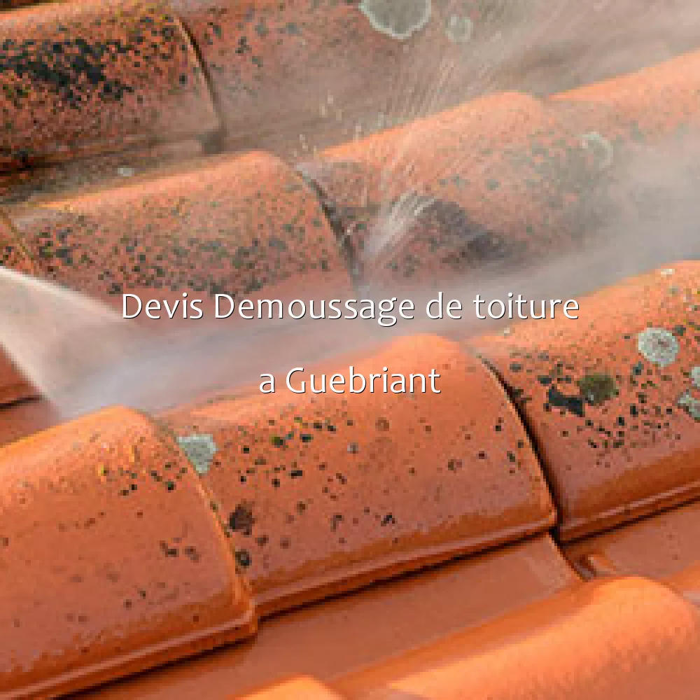 Devis Demoussage de toiture a Guebriant