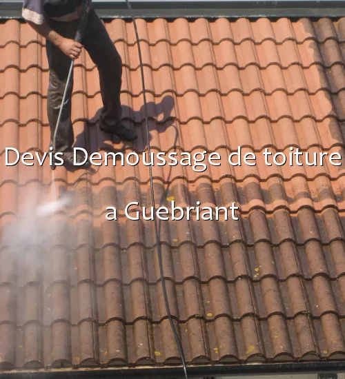 Devis Demoussage de toiture a Guebriant