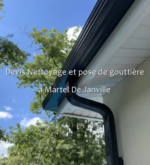 Devis Nettoyage et pose de gouttière a Martel De Janville