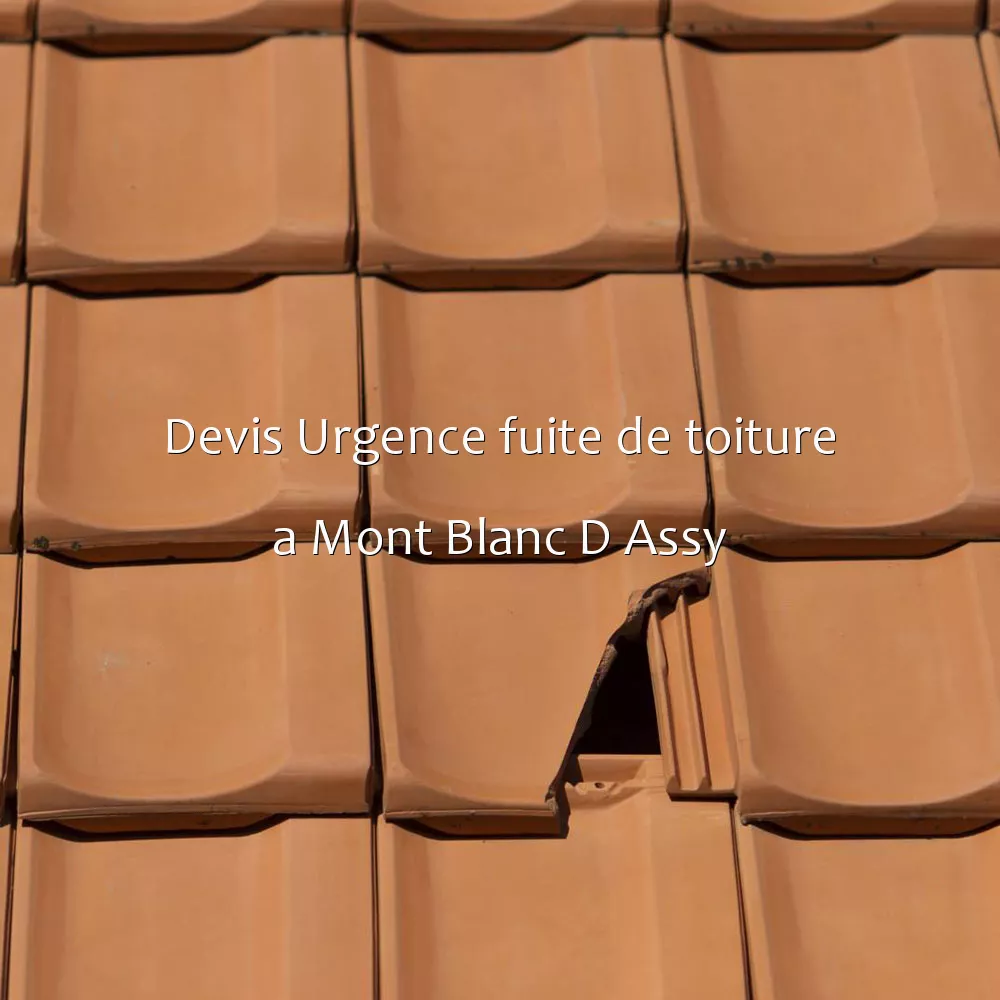 Devis Urgence fuite de toiture a Mont Blanc D Assy