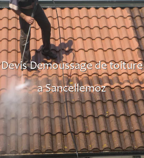 Devis Demoussage de toiture a Sancellemoz