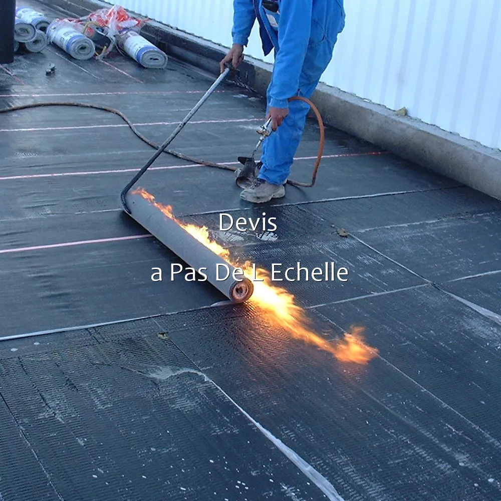 Devis  a Pas De L Echelle