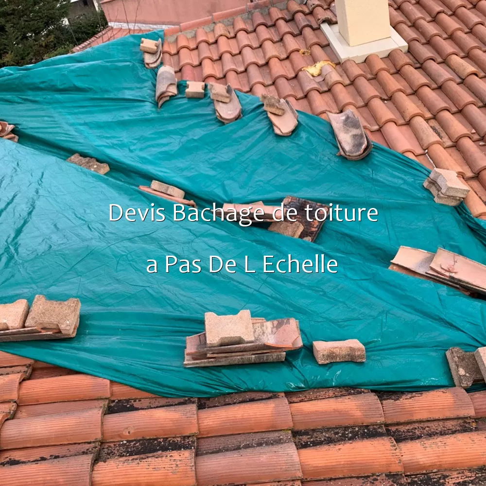 Devis Bachage de toiture a Pas De L Echelle