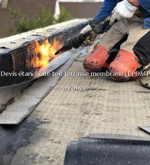 Devis étanchéité toit terrasse membrane (EPDM) a Vongy