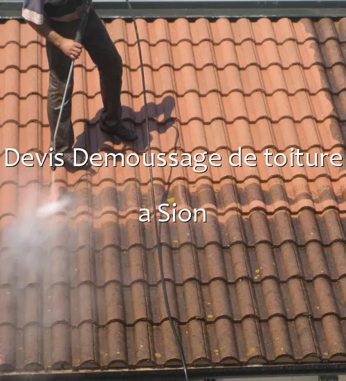 Devis Demoussage de toiture a Sion
